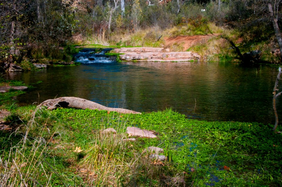 Fossil Springs Wilderness: Springs Area