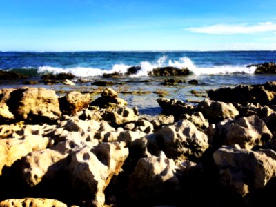 Lucky shoot today. With iPhone camera. Smartphonegraphy