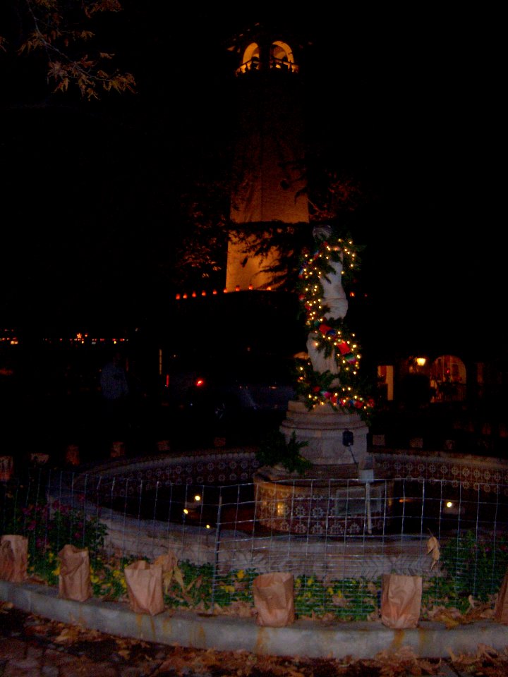 Tlaquepaque Festival of Lights photo