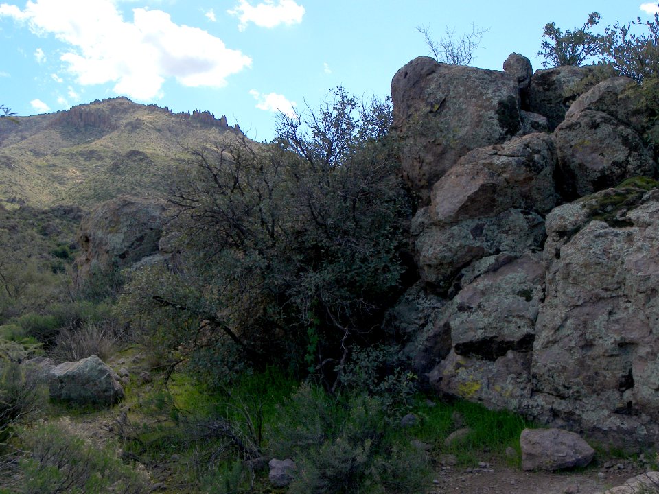 Superstition Wilderness: Dutchmans Trail