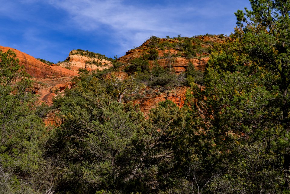 Loy Canyon Trail