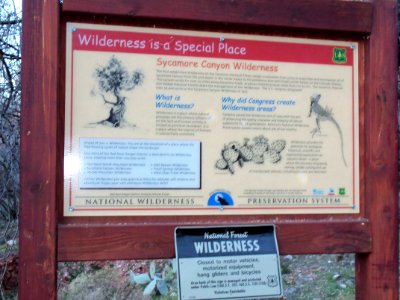 Parsons Trail