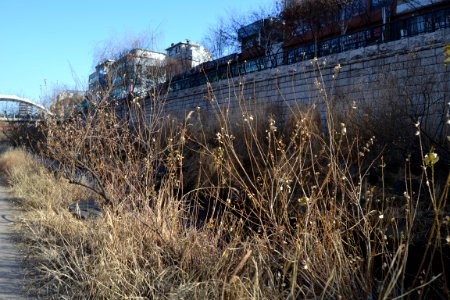 seoul flickr (148)