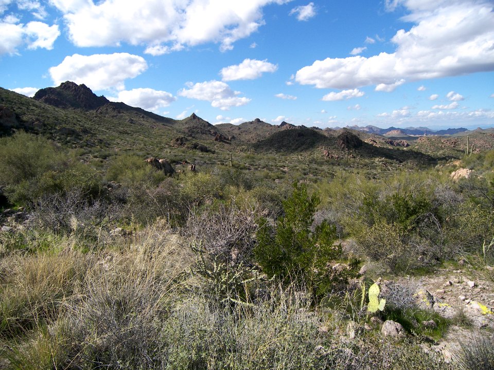 Superstition Wilderness: Dutchmans Trail