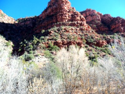 Parsons Trail