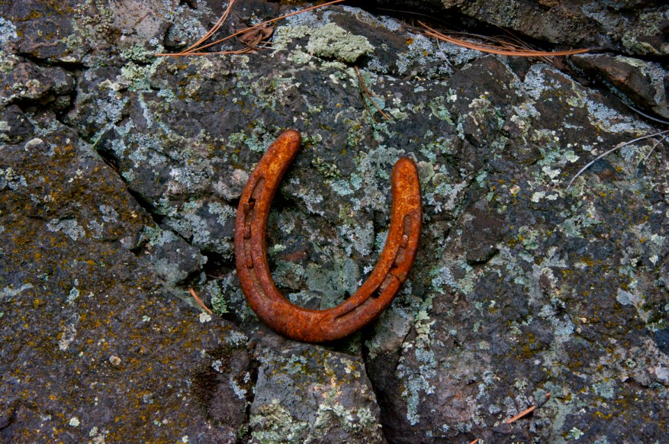 Kelsey Trail No. 3