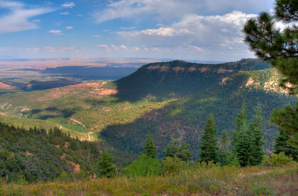 Kaibab Plateau Trail 101