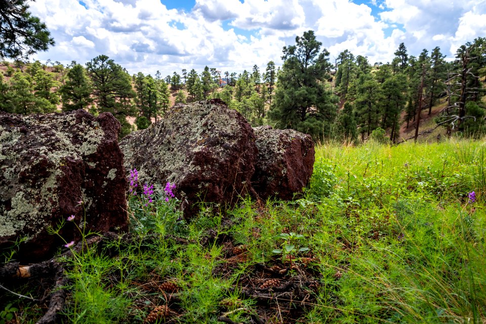 Crater Hike (August 26, 2018)