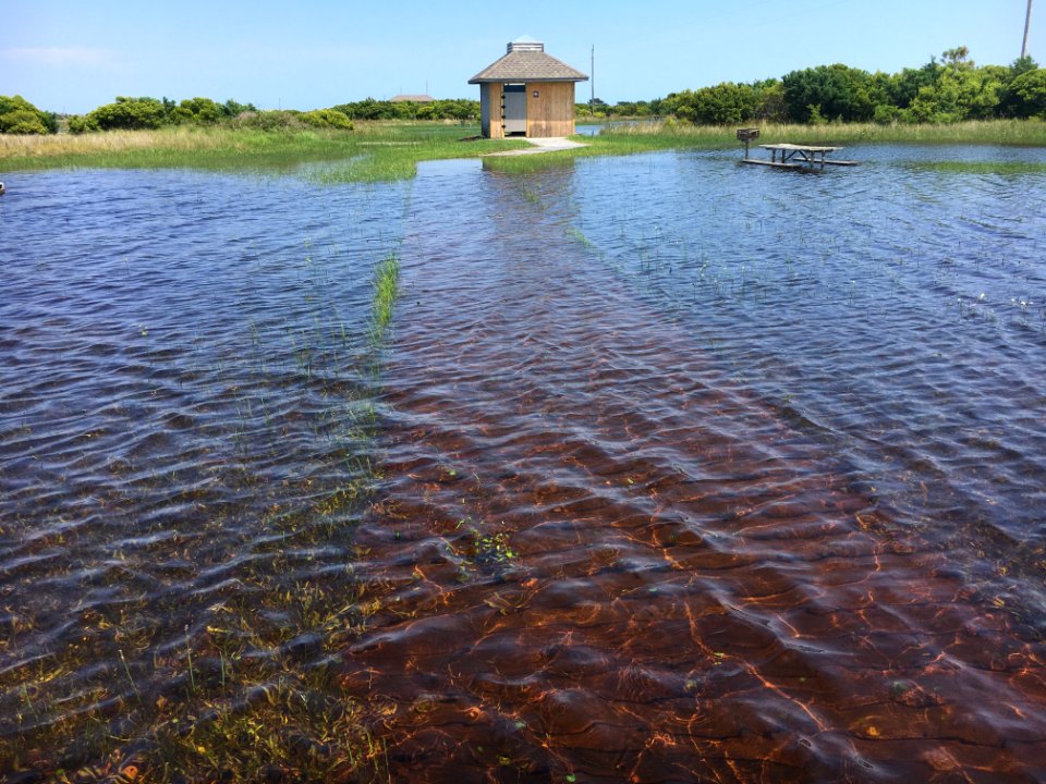 Cape Point Campground flooding, June 2020
