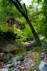 Little L.O. Trail No. 6