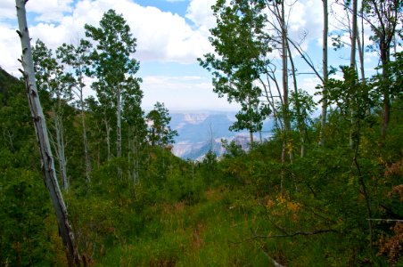Saddle Mountain Trail