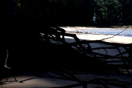 El Lago
