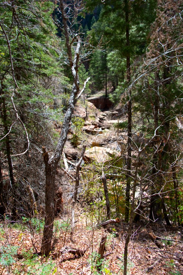 Secret Canyon Trail