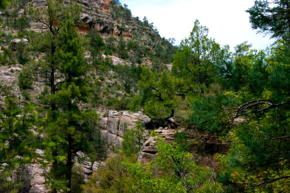 Little L.O. Trail No. 6