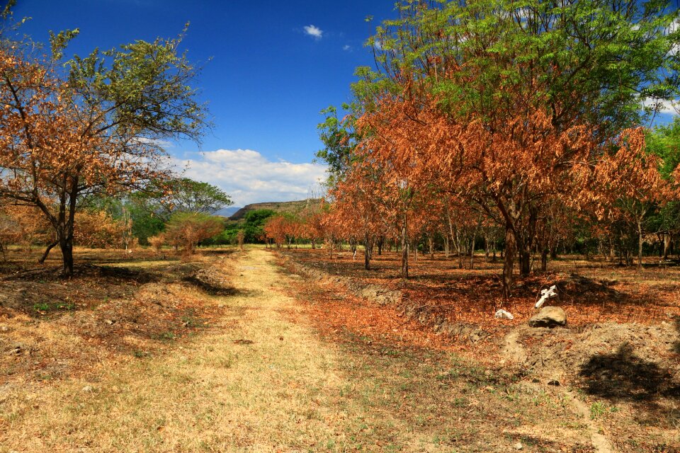 People beautiful scenery forests