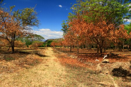 People beautiful scenery forests