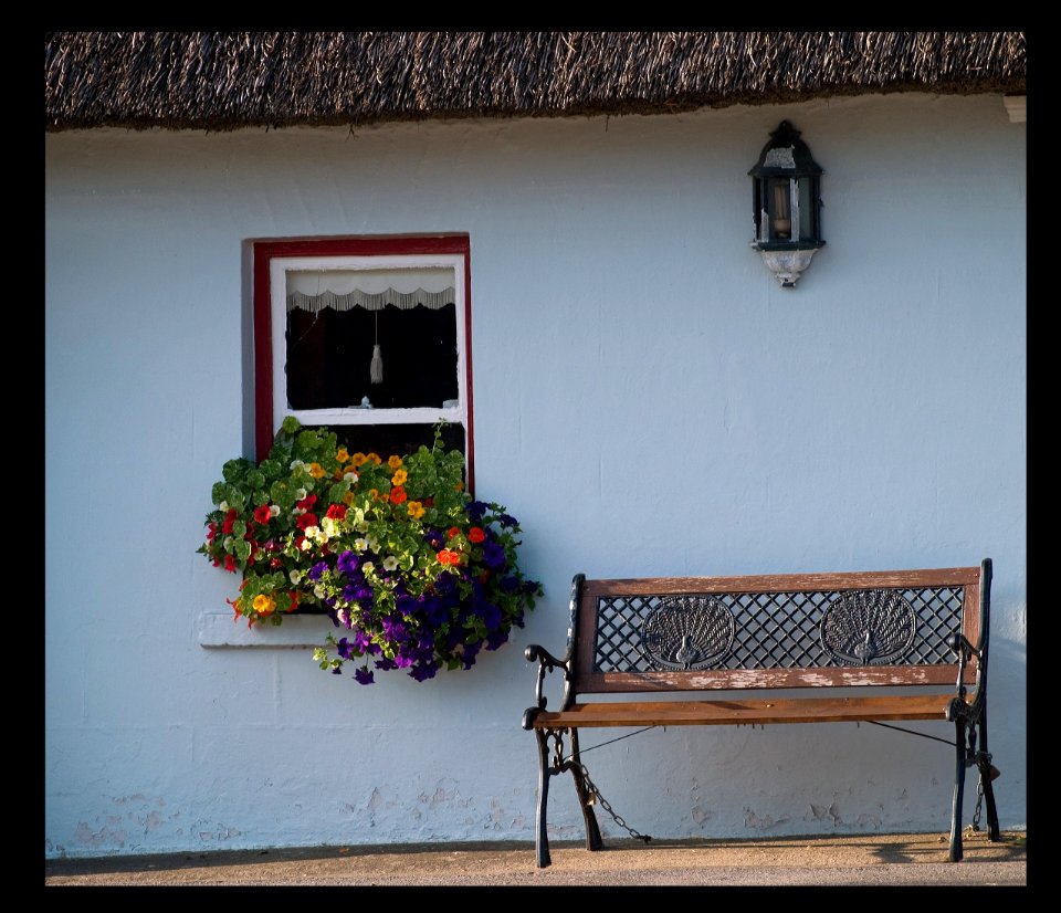 Red Window Box