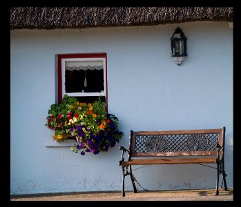 Red Window Box