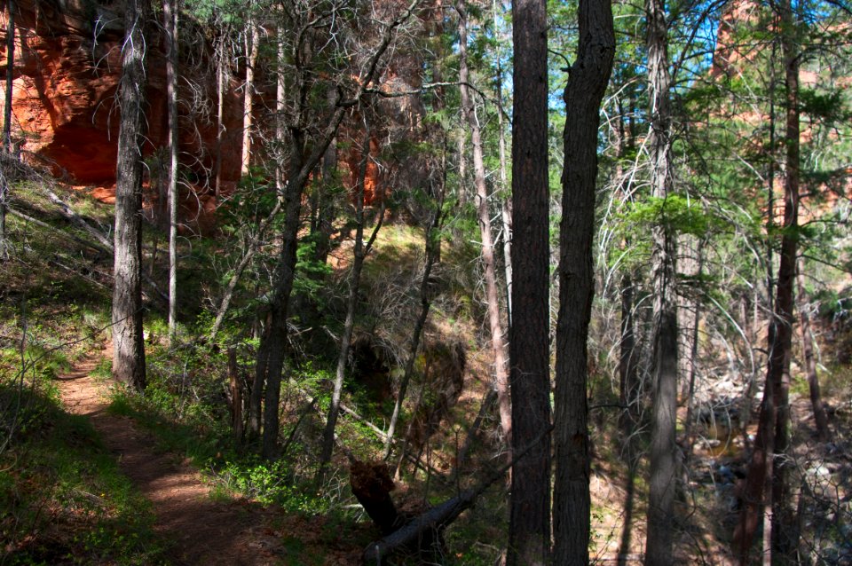 Secret Canyon Trail