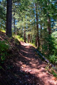 Rainbow Rim Trail