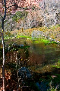 Fossil Springs Wilderness: Springs Area