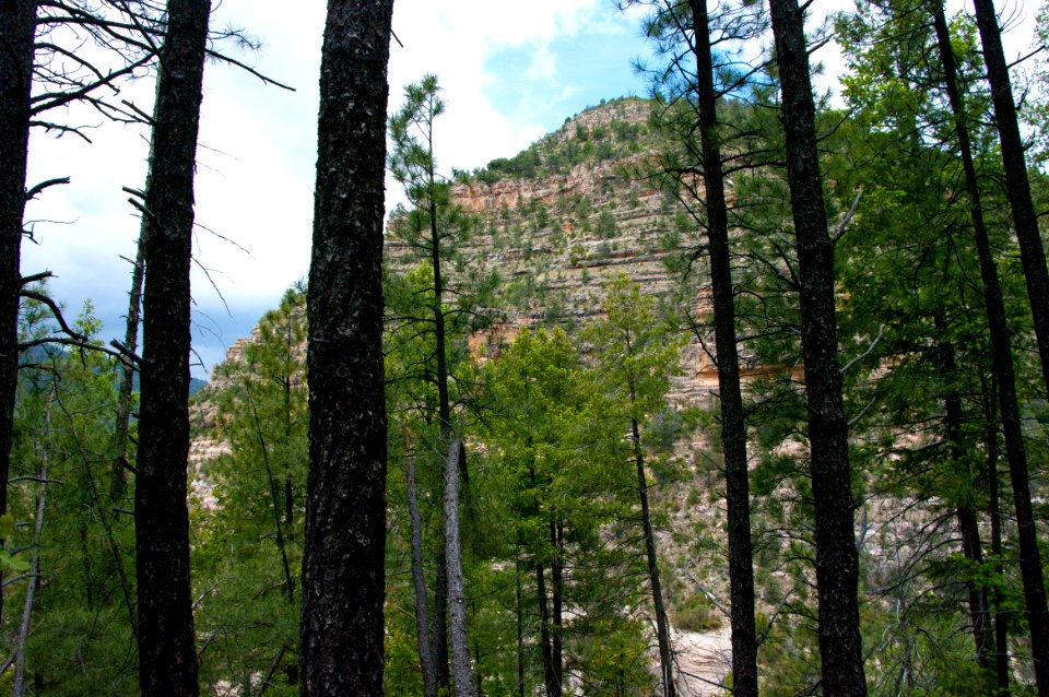 Little L.O. Trail No. 6