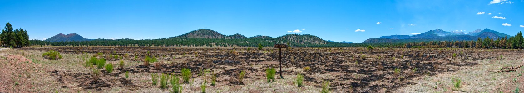 Schultz Fire: Bonito Park Panorama