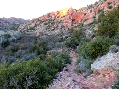 Parsons Trail