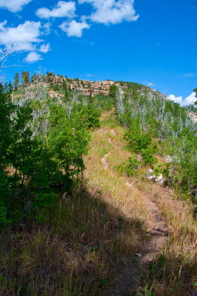 Saddle Mountain Trail