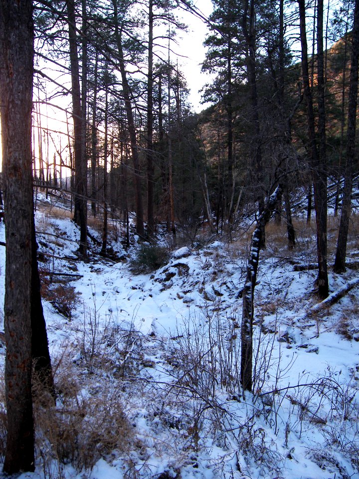 Vultee Arch Trail