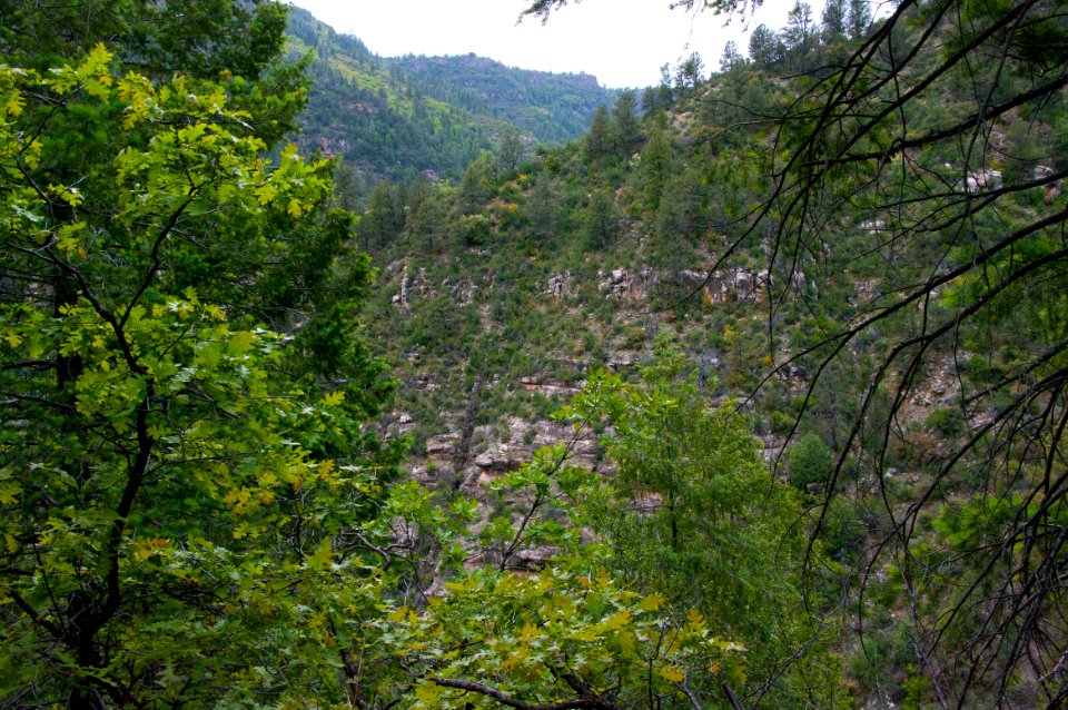 Little L.O. Trail No. 6