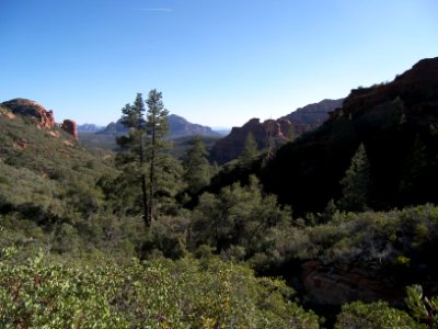 David Miller Trail