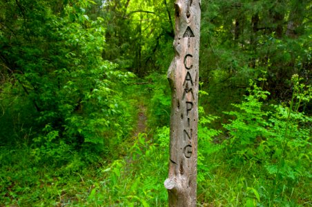 Little L.O. Trail No. 6