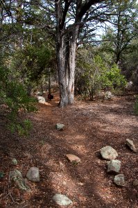 Loy Canyon Trail photo