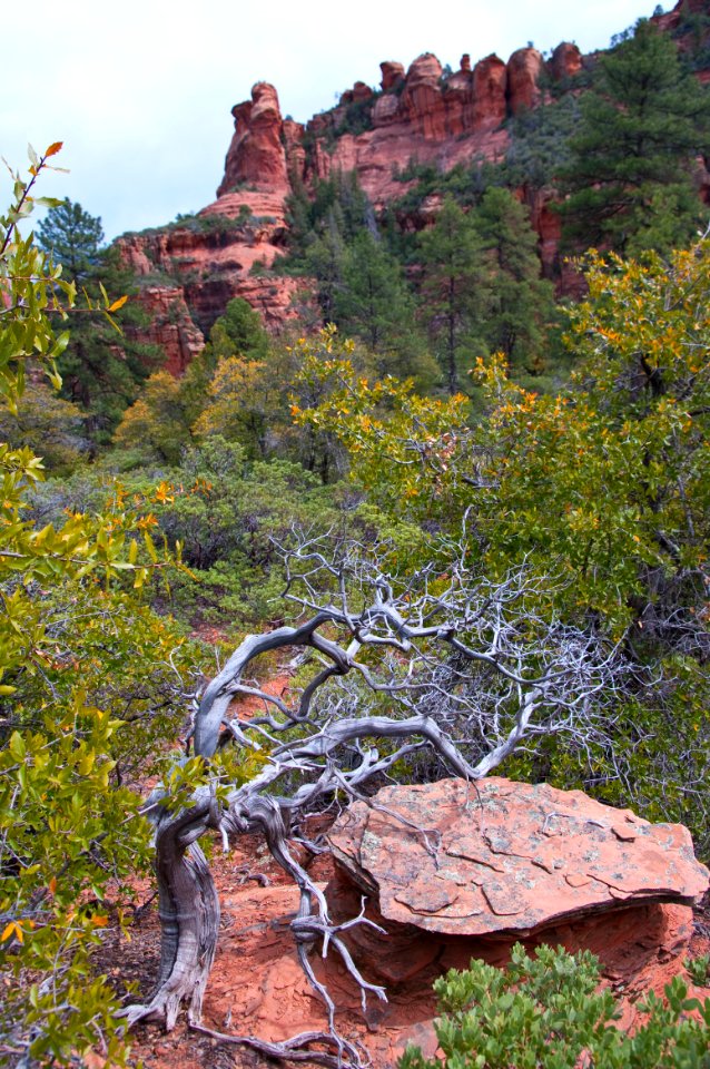 Secret Canyon Trail