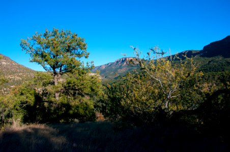 Flume Trail