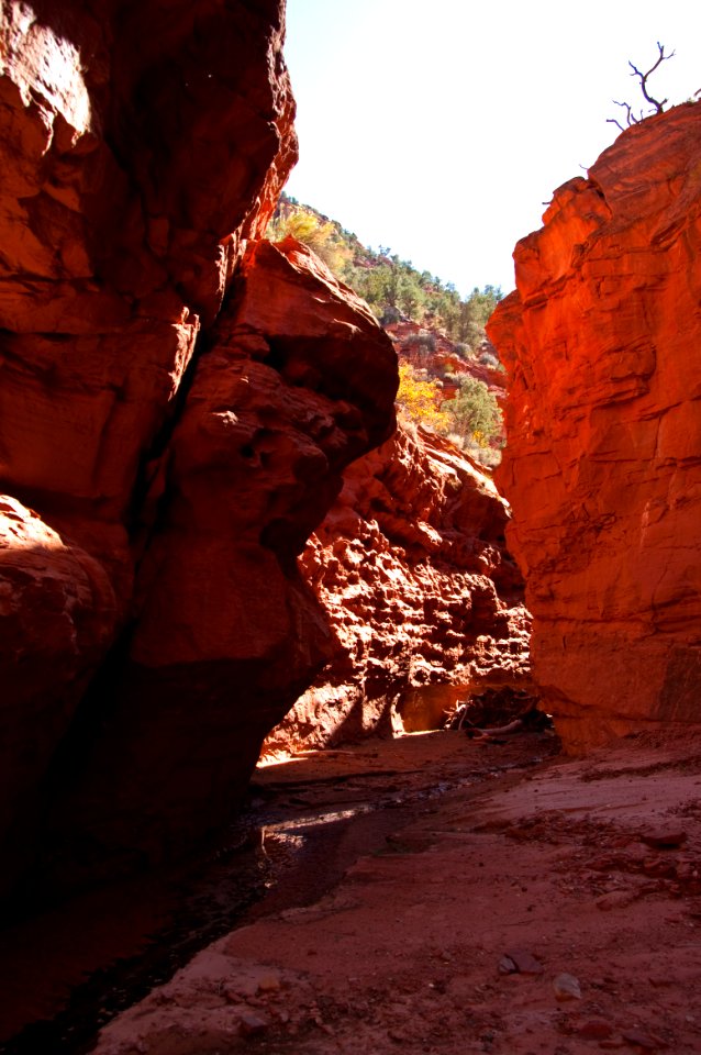 Starlight Canyon