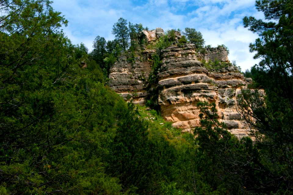 Little L.O. Trail No. 6