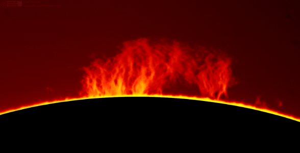 Large hedgerow prominence on the Sun today
