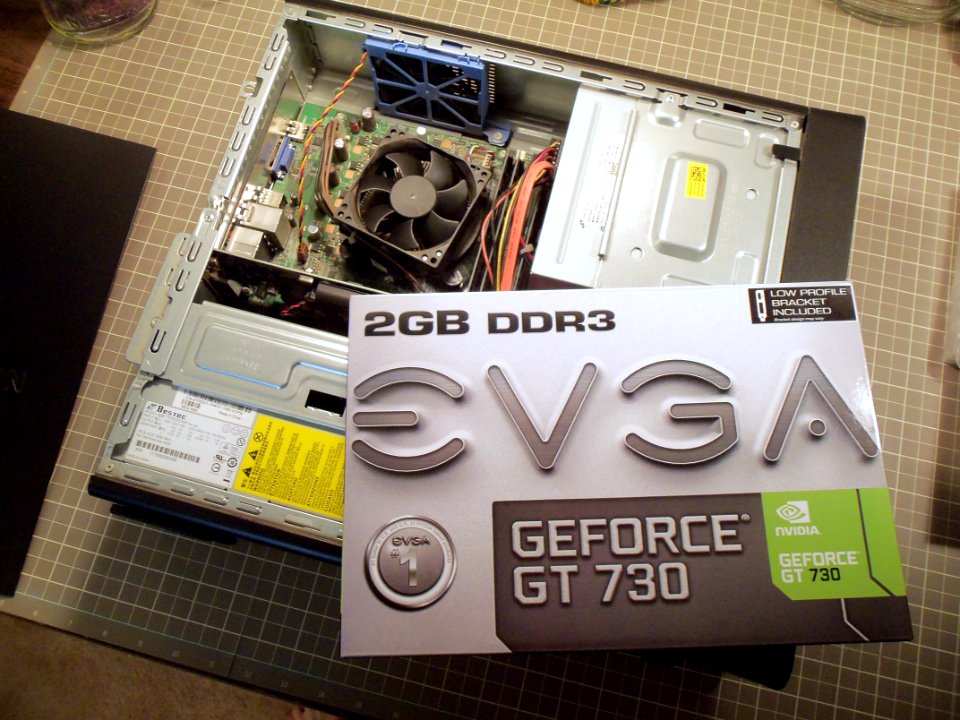 Dreamer GPU Upgrade: Selfie