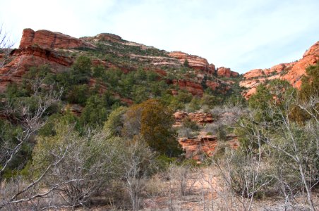 Loy Canyon Trail