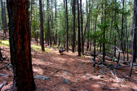 Kelsey Trail No. 3