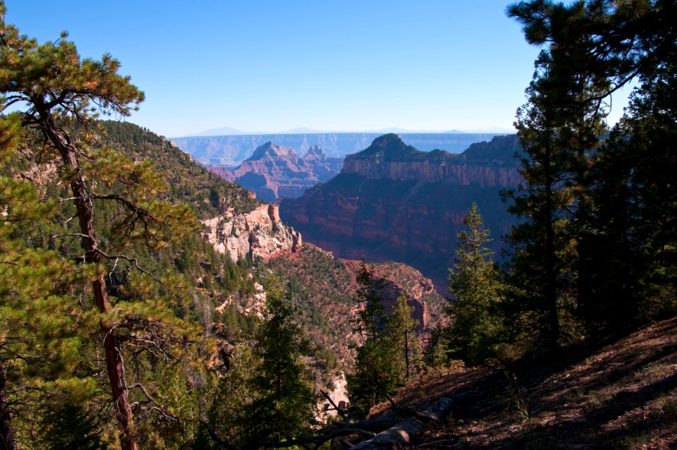 Grand Canyon North Rim photo