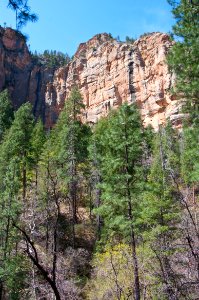 Secret Canyon Trail