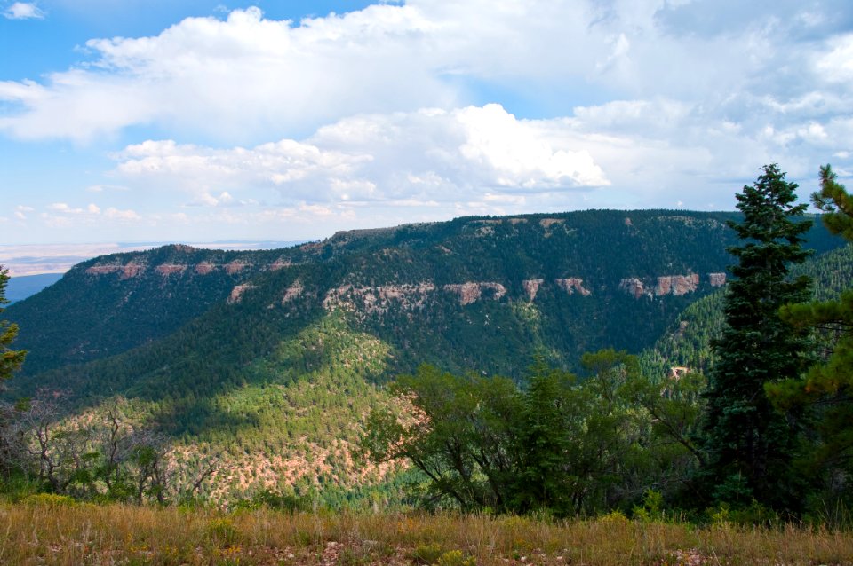 Kaibab Plateau Trail 101