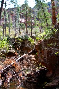 Secret Canyon Trail