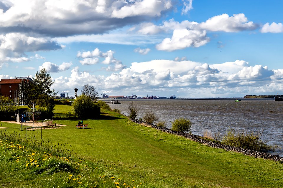 Elbe bei Hollern-Twielenfleth IMG 3466