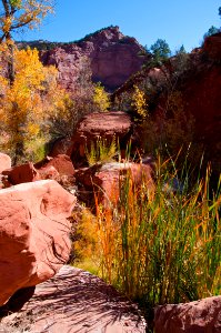 Paria River (side canyon)