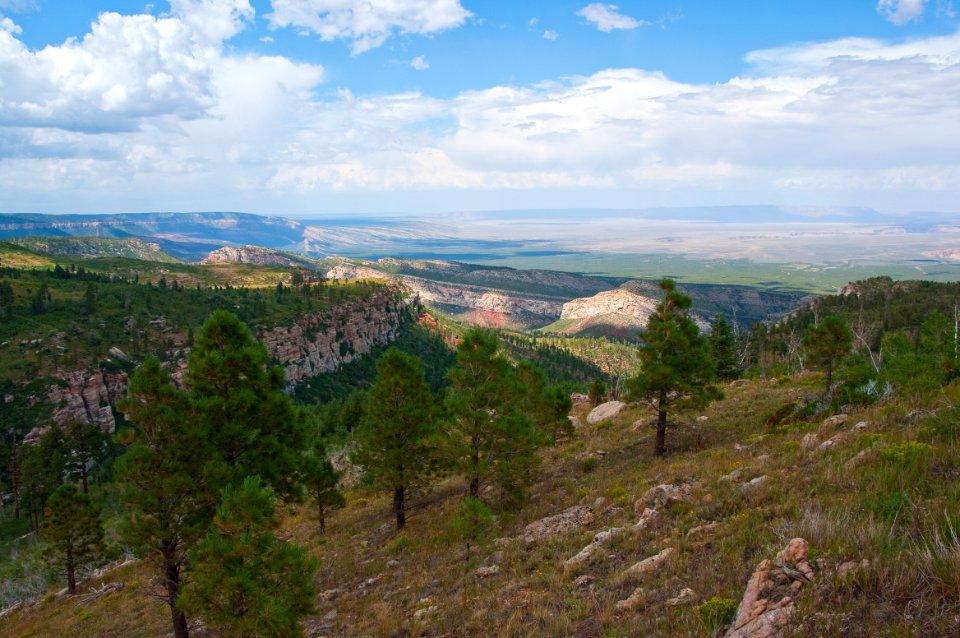 Saddle Mountain Trail
