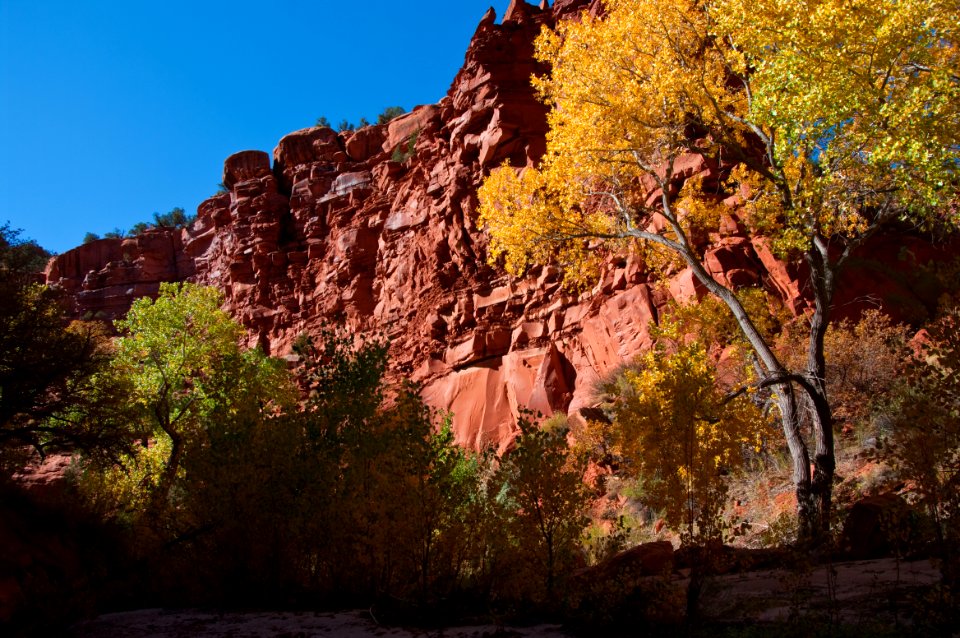 Starlight Canyon